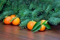 Mandarins Royalty Free Stock Photo