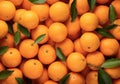 Mandarins with leaves background, top view, heap of citrus fruits Royalty Free Stock Photo