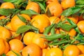 Mandarins mandarin, tangerines!Very sweet and tasty citrus