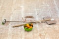 Mandarins and oranges in the green bowl. Vitamin ÃÂ¡ to work well. Energy for working. Iron shovel and broom with wooden handle.