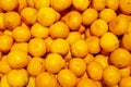 Mandarins Oranges Market Background