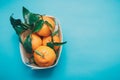 Mandarins oranges, tangerines, clementines, citrus fruits with leaves on a turquoise background, copy space Royalty Free Stock Photo