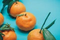 Mandarins oranges, tangerines, clementines, citrus fruits with leaves on a turquoise background, copy space Royalty Free Stock Photo