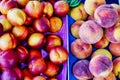 Mandarins and Peaches at Greek Street Market