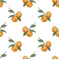 Seamless pattern with adorable mandarins for fabric design, food patterns, fruits patterns Royalty Free Stock Photo