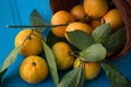 Mandarins or tangerines in a basket Royalty Free Stock Photo