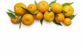 Mandarins. Tangerines close-up on a white background