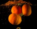 Mandarins in the water Royalty Free Stock Photo