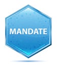 Mandate crystal blue hexagon button