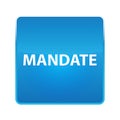 Mandate shiny blue square button