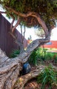 Mandela House in Soweto