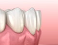 Mandibular human gum and teeth anatomy. Medically accurate tooth illustration