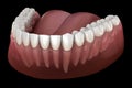 Mandibular human gum and teeth. Medically accurate tooth illustration