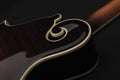 Mandolin on black, detail