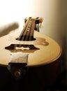 Mandolin closeup