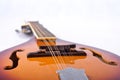 Mandolin detail on white background