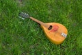 Mandolin lost in spring grass Royalty Free Stock Photo