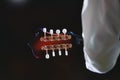 Mandolin neck headstock Royalty Free Stock Photo