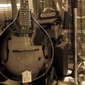 Mandolin and squeeze box instruments in sepia close up