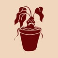 Mandragora, is a magical and sentient plant. Royalty Free Stock Photo