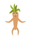 Mandrake root happy. Merry Legendary mystical plant in form of m