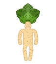 Mandrake root man. Tie and case. Magic plant. Vector illustration Royalty Free Stock Photo