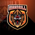 Mandril esport mascot logo design Royalty Free Stock Photo