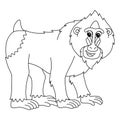 Mandrill Animal Isolated Coloring Page for Kids