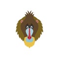 Mandrill face in cartoon style for children.