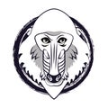 Mandrill face cool sketch Royalty Free Stock Photo