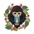 Mandrill face cool sketch Royalty Free Stock Photo
