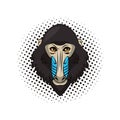 Mandrill face cool sketch Royalty Free Stock Photo