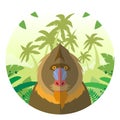 Mandrill on the Jungle Background