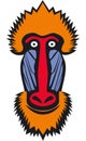 Mandrill monkey head