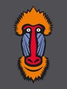 Mandrill monkey head