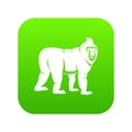 Mandrill monkey icon digital green