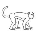 Mandrill monkey icon, outline style