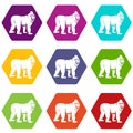 Mandrill monkey icon set color hexahedron