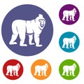 Mandrill monkey icons set