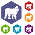 Mandrill monkey icons set hexagon