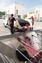 Manduria, Italy, september 07, 2019 - two men open the truck and throw the grapes in the grape destemmer in a winery. Primitivo Royalty Free Stock Photo