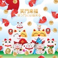 Maneki Neko fat face express smile cover