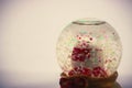 Maneki Neko Japan Lucky Cat in Snow globe , Isolated , Translation: Financial fortune