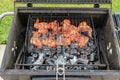 Mangal with glilled chicken wings marinated in tomato sauce on open fire Royalty Free Stock Photo
