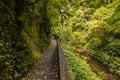 Remote footpath in the canyon of the river in Mangapohue natural bridge reserve