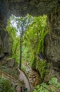 Mangapohue Natural Bridge at New Zealand