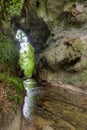 Mangapohue Natural Bridge at New Zealand