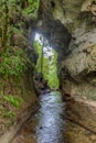 Mangapohue Natural Bridge at New Zealand