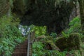 Mangapohue Natural Bridge at New Zealand