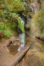 Mangapohue Natural Bridge at New Zealand